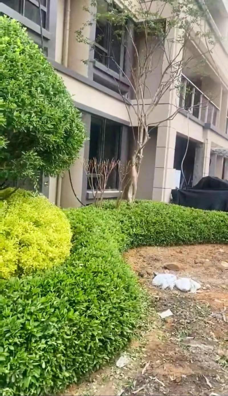 綠化工程6